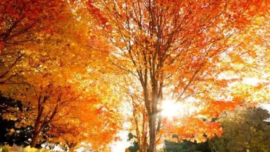 Dérekh Érets, trop de Dérekh Érets... ?