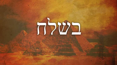 Béchala'h - Se dévouer malgré ses difficultés