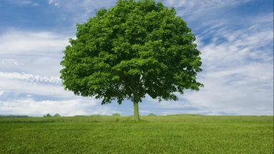 Apprendre à dire NON... ta vie passe avant