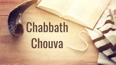 Dracha annuelle - L'énergie de Chabbath Chouva (Rav Yossef David Frankforter)