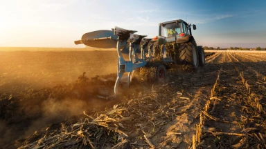 Année sabbatique et jubilé : ces Mitsvot porteuses de la foi en D.ieu