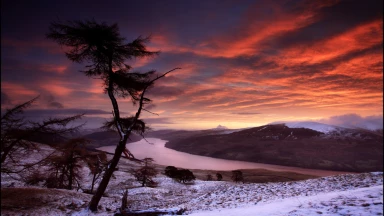 Histoire : les 2 associés à 85%-15%