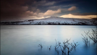 Béhaalotékha : celui qui accepte l'humiliation sera relevé par son Créateur