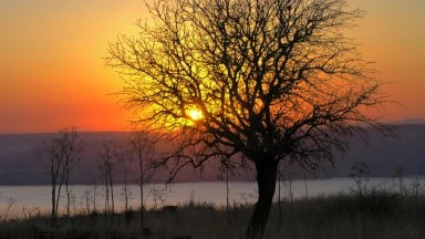 Emor : les souffrances de la vie purifient !