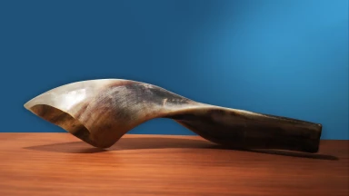 Une divine leçon d’Eloul