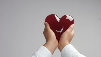 "Torah-Box, site de partage et d'échange"