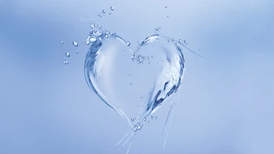 Baser son foyer sur le "don mutuel"