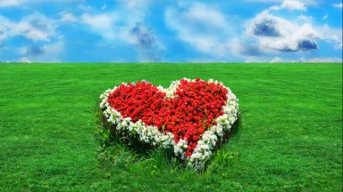 La rédaction du Chir Hachirim par le Roi Salomon