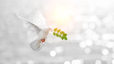 La réalité dissipe les illusions