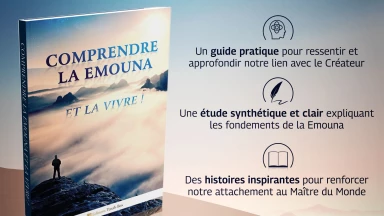 Je vous conseille le livre "Comprendre la Emouna et la vivre" du Rav Ephraim David Klapisch