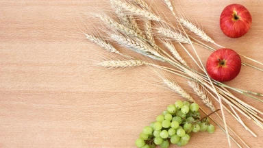 Compte du ‘Omer : anticipation & préparation au Mont Sinai !