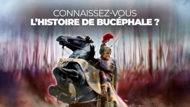 Connaissez-vous l’histoire de Bucéphale ?
