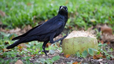 Ton "package" ne correspond qu'à toi