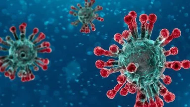 Coronavirus - Panique internationale… Et la Emouna dans tout ça ?