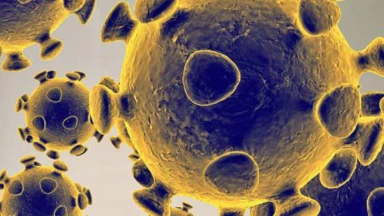 Virus Corona  : le revers de la globalisation