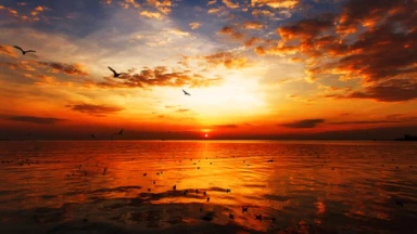 Vayichla'h - Que symbolise la lutte de Yaakov avec l'ange ?