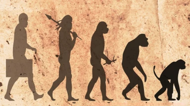 Les fossiles de Cro-Magnon expliqués par la Torah