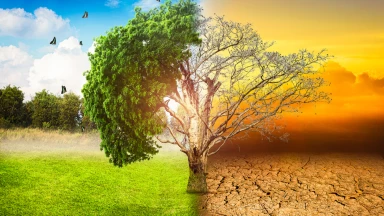 Révolution technologique et cataclysme climatique… Où sommes-nous ?