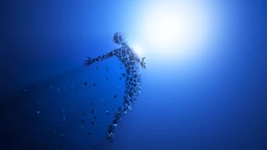 La lumière de Roch Hachana