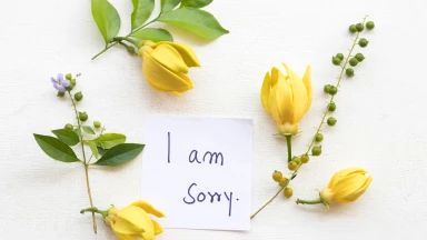 Comment présenter ses excuses ?