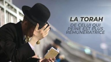 Dévarim : la Torah de celui qui peine est plus rémunératrice