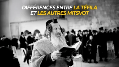 Différences entre la Téfila et les autres Mitsvot