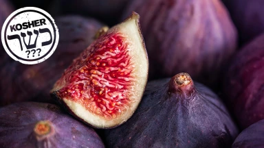 Dossier : La Figue, c’est Cachère ?