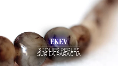 Ekev : 3 jolies perles sur la Paracha