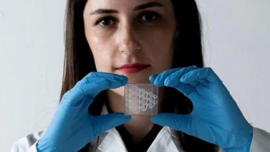 Elyana au buisson ardent