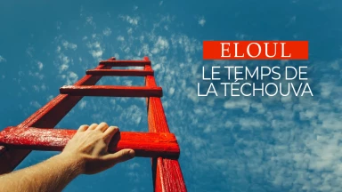 Eloul est à ne pas manquer, bonne chance à tous !