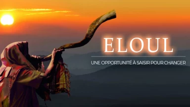 Eloul - Une opportunité à saisir pour changer