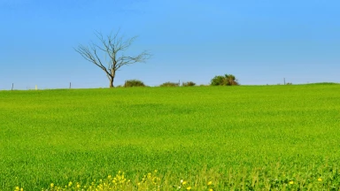 7 messages d'autistes