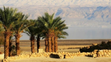 Rav Sitruk : "Garder sa Emouna pour ne pas médire Erets Israël"