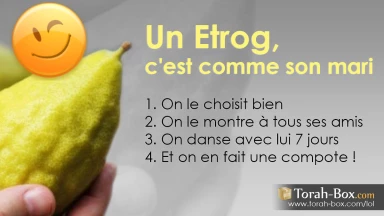 LOL : les images humoristiques de Torah-Box