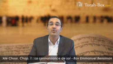 Se connaitre en 24 leçons d'après Rav Wolbe