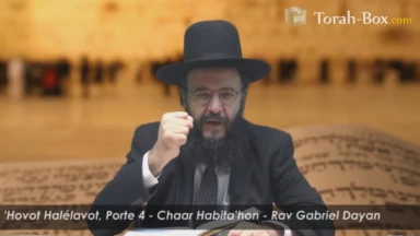 Étudiez le 'Hovot Halélavot virtuellement avec Rav Dayan !