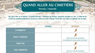 [A imprimer] Fiche-pratique : Quand aller au cimetière