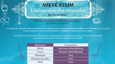 [À imprimer] Fiche-pratique : Tévilat Kélim, le mikvé des ustensiles