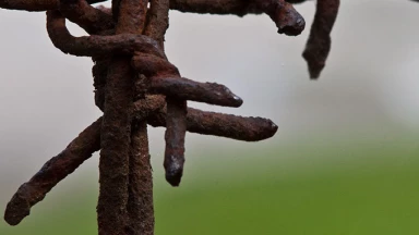 Histoire émouvante : la vie grâce aux saints 'papiers' (Shoah)