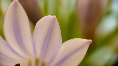 Une femme construit chaque jour son foyer (bayit)