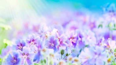 La femme est plus proche d'Hachem