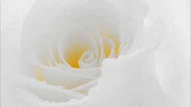 'Haya : la vie prend son sens en donnant !