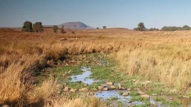 Opposition à la séparation des heures de baignade dans les réserves naturelles en Israël