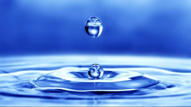 Béchala’h - Comment réussir à persévérer dans nos actes ?