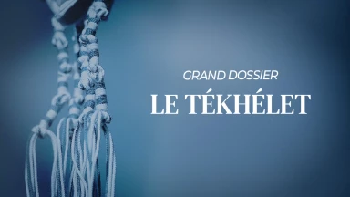 Grand Dossier : Le Tékhélet