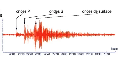 Planète au désarroi