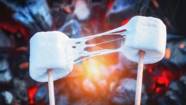 Le test de la Guimauve - La preuve que la Torah rend libre