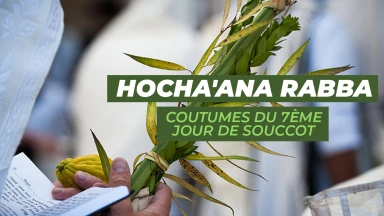 Hocha'ana Rabba : coutumes du 7ème jour de Souccot