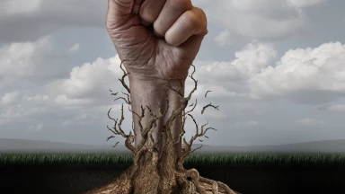 Le compliment, une arme qui encourage à l'action !