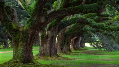 Couple : 7 principes pour faire durer votre amour